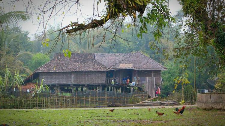 Tai Lue Village 